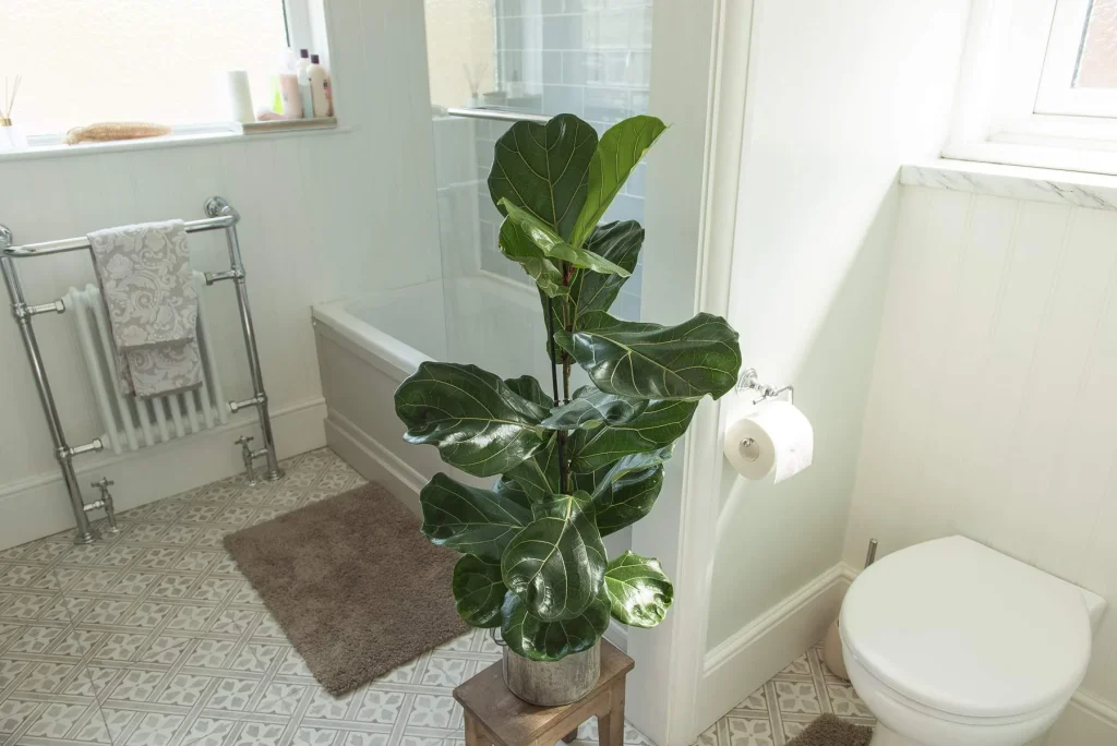 Después — Remodelación de Baños